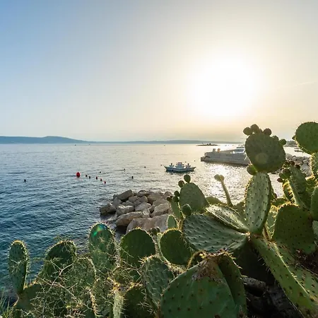 Mitan Novi Vinodolski