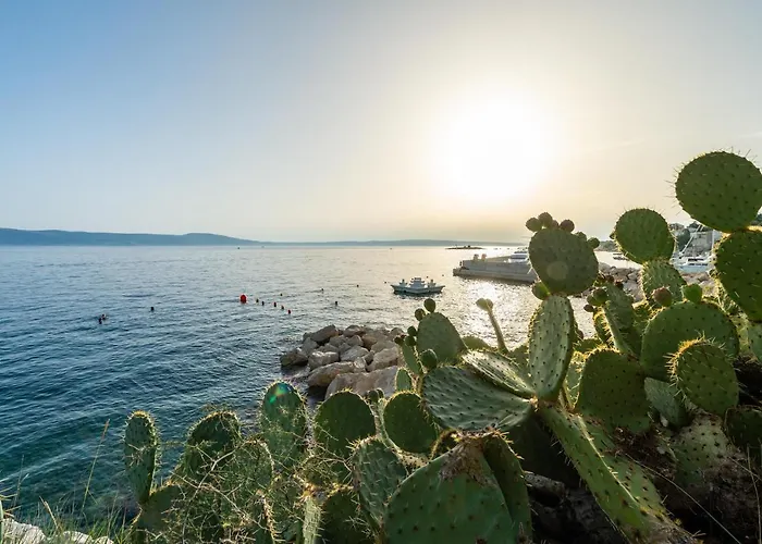 Mitan Novi Vinodolski